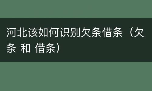 河北该如何识别欠条借条（欠条 和 借条）