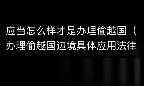 应当怎么样才是办理偷越国（办理偷越国边境具体应用法律的解释）