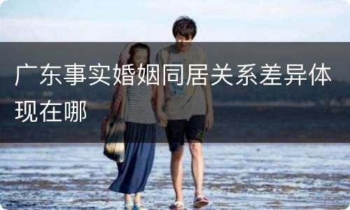 广东事实婚姻同居关系差异体现在哪