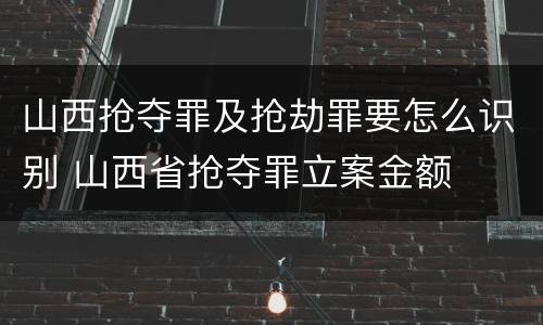 山西抢夺罪及抢劫罪要怎么识别 山西省抢夺罪立案金额