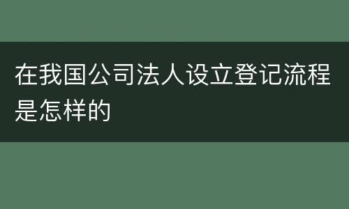 在我国公司法人设立登记流程是怎样的