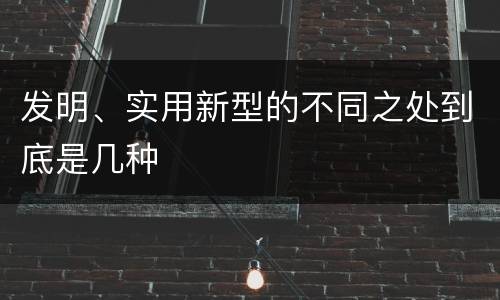 发明、实用新型的不同之处到底是几种