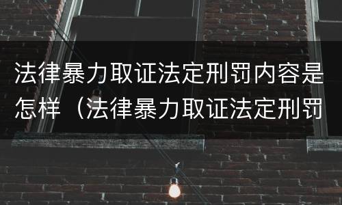 法律暴力取证法定刑罚内容是怎样（法律暴力取证法定刑罚内容是怎样的）