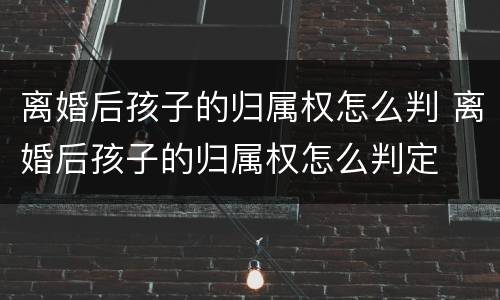 离婚后孩子的归属权怎么判 离婚后孩子的归属权怎么判定