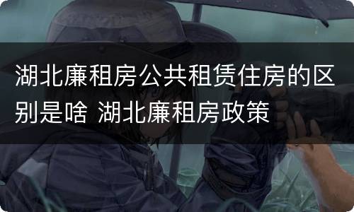 湖北廉租房公共租赁住房的区别是啥 湖北廉租房政策