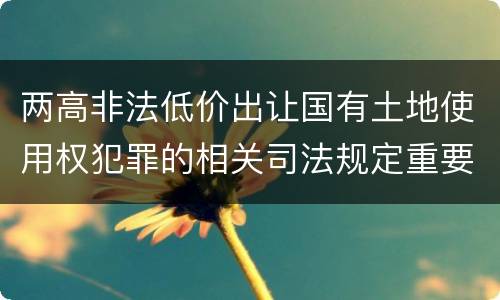 两高非法低价出让国有土地使用权犯罪的相关司法规定重要内容是什么