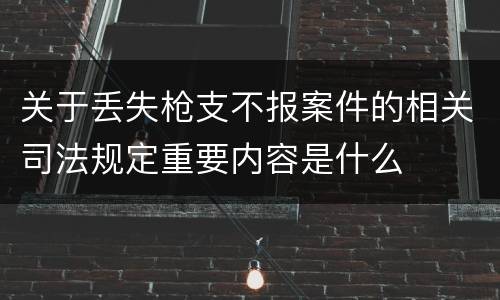 关于丢失枪支不报案件的相关司法规定重要内容是什么