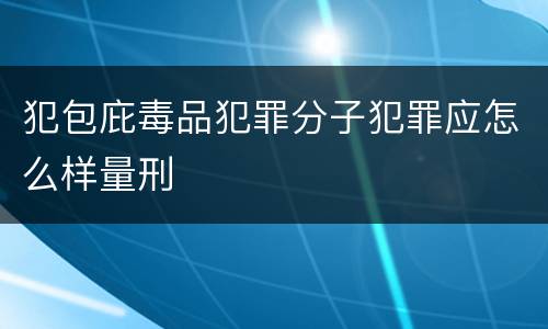 犯包庇毒品犯罪分子犯罪应怎么样量刑