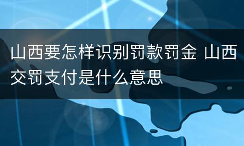 山西要怎样识别罚款罚金 山西交罚支付是什么意思