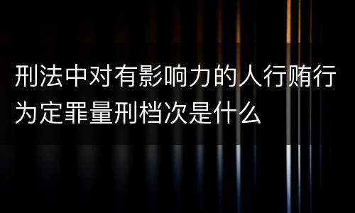 刑法中对有影响力的人行贿行为定罪量刑档次是什么