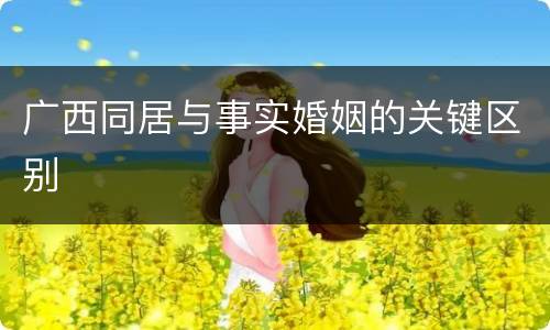 广西同居与事实婚姻的关键区别