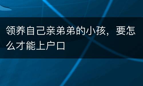 领养自己亲弟弟的小孩，要怎么才能上户口