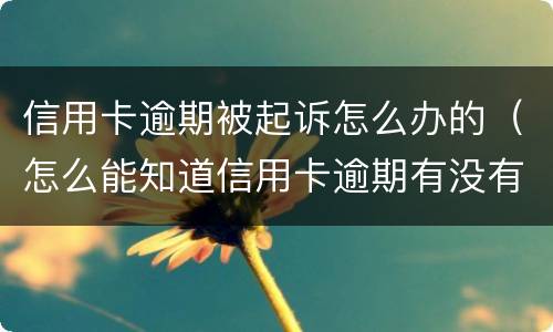 信用卡逾期被起诉怎么办的（怎么能知道信用卡逾期有没有被起诉）