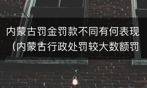 内蒙古罚金罚款不同有何表现（内蒙古行政处罚较大数额罚款标准）