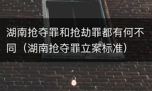 湖南抢夺罪和抢劫罪都有何不同（湖南抢夺罪立案标准）