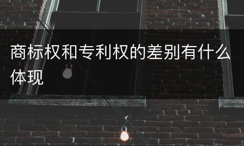 商标权和专利权的差别有什么体现