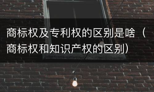 商标权及专利权的区别是啥（商标权和知识产权的区别）