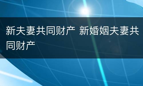 新夫妻共同财产 新婚姻夫妻共同财产