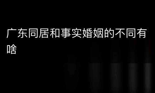 广东同居和事实婚姻的不同有啥