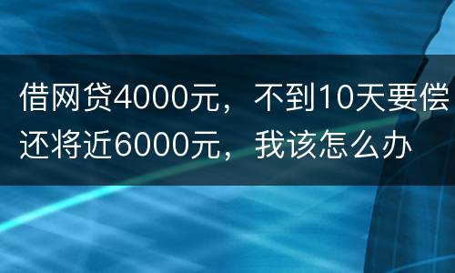 借网贷4000元，不到10天要偿还将近6000元，我该怎么办