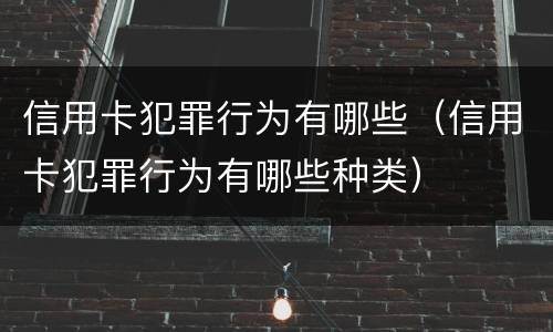 信用卡犯罪行为有哪些（信用卡犯罪行为有哪些种类）