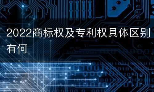 2022商标权及专利权具体区别有何