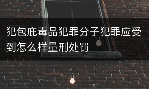 犯包庇毒品犯罪分子犯罪应受到怎么样量刑处罚