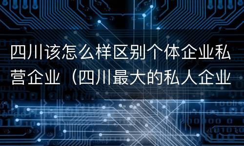 四川该怎么样区别个体企业私营企业（四川最大的私人企业）