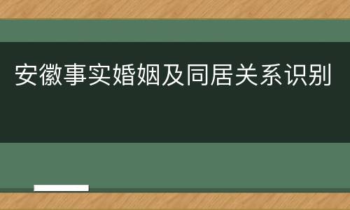 安徽事实婚姻及同居关系识别