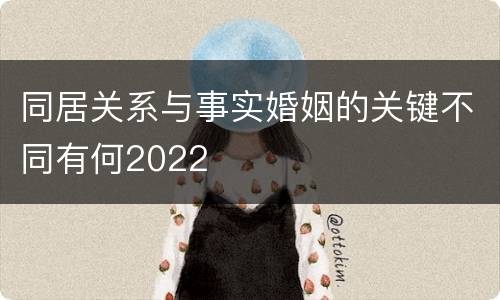 同居关系与事实婚姻的关键不同有何2022