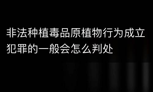 非法种植毒品原植物行为成立犯罪的一般会怎么判处