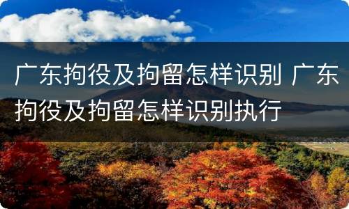 广东拘役及拘留怎样识别 广东拘役及拘留怎样识别执行