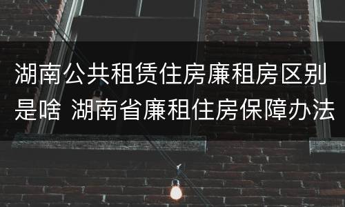 湖南公共租赁住房廉租房区别是啥 湖南省廉租住房保障办法