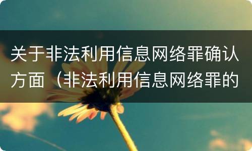 关于非法利用信息网络罪确认方面（非法利用信息网络罪的认定）