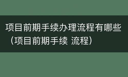 项目前期手续办理流程有哪些（项目前期手续 流程）