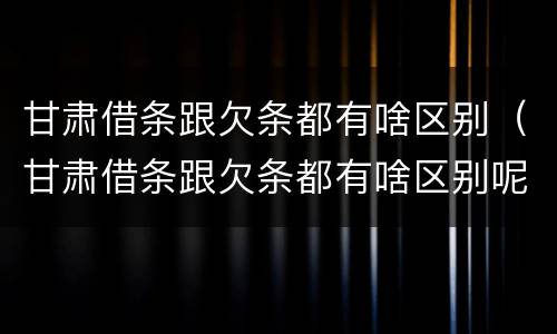 甘肃借条跟欠条都有啥区别（甘肃借条跟欠条都有啥区别呢）