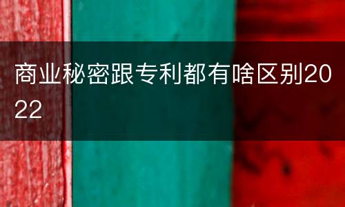 商业秘密跟专利都有啥区别2022