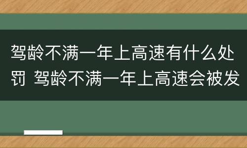 驾龄不满一年上高速有什么处罚 驾龄不满一年上高速会被发现吗