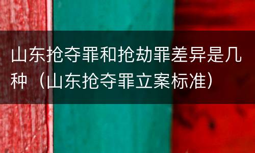 山东抢夺罪和抢劫罪差异是几种（山东抢夺罪立案标准）