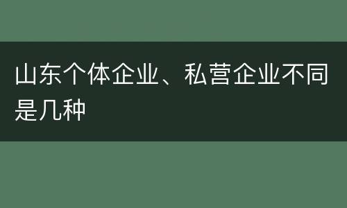 山东个体企业、私营企业不同是几种