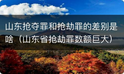 山东抢夺罪和抢劫罪的差别是啥（山东省抢劫罪数额巨大）