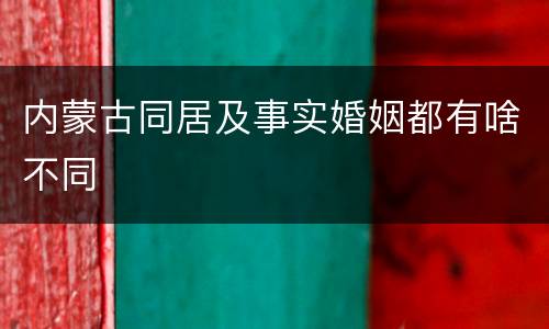 内蒙古同居及事实婚姻都有啥不同