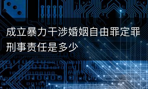 成立暴力干涉婚姻自由罪定罪刑事责任是多少