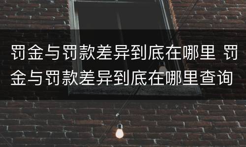 罚金与罚款差异到底在哪里 罚金与罚款差异到底在哪里查询