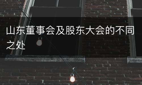 山东董事会及股东大会的不同之处