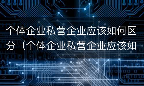 个体企业私营企业应该如何区分（个体企业私营企业应该如何区分公司）