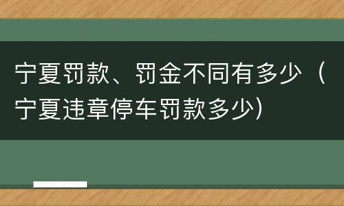 宁夏罚款、罚金不同有多少（宁夏违章停车罚款多少）