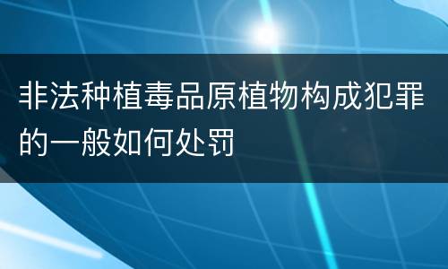 非法种植毒品原植物构成犯罪的一般如何处罚