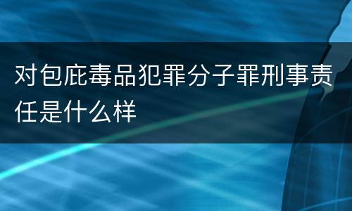 对包庇毒品犯罪分子罪刑事责任是什么样