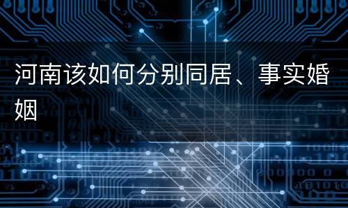 河南该如何分别同居、事实婚姻